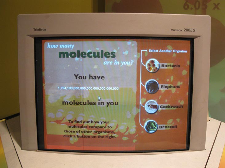 Marvelous Molecules Exhibit, New York Hall of Science, 47-01 111th Street, Flushing Meadows Corona Park, Queens