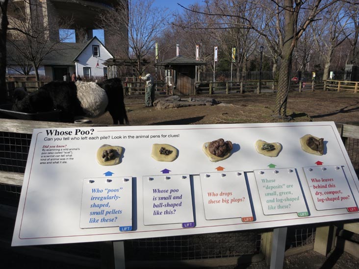 Whose Poo? Interpretive Display, Domestic Animals, Queens Zoo, 53-51 111th Street, Flushing Meadows Corona Park, Queens, January 20, 2013