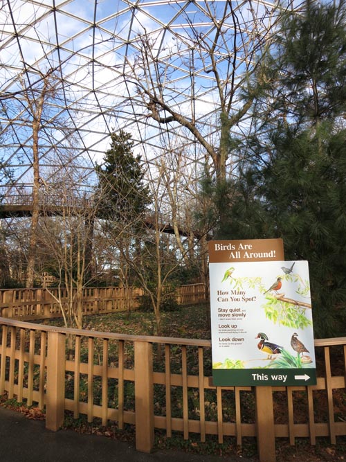 Aviary, Queens Zoo, 53-51 111th Street, Flushing Meadows Corona Park, Queens, January 20, 2013