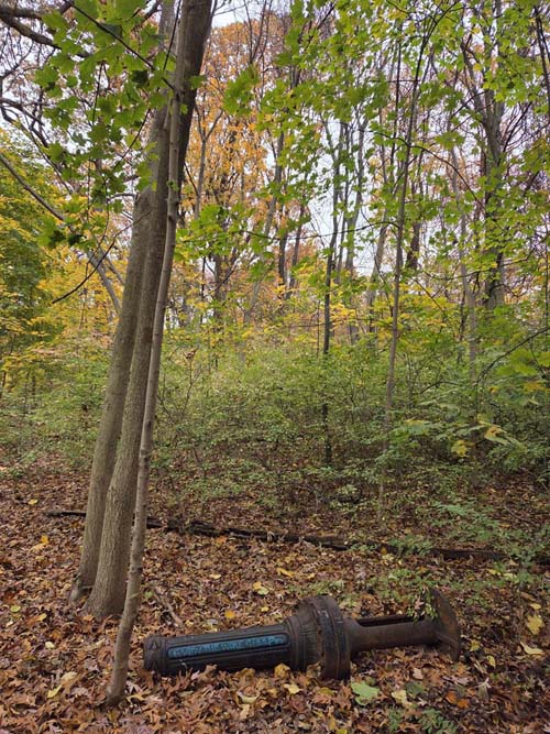 Orange Trail, Forest Park, Queens, November 11, 2025