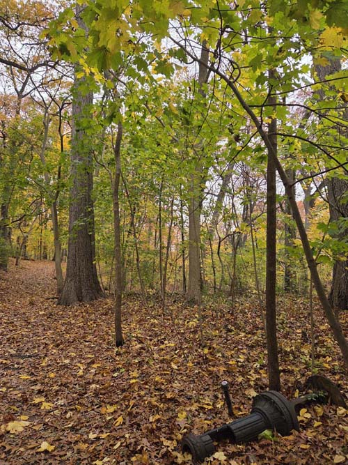 Orange Trail, Forest Park, Queens, November 11, 2025
