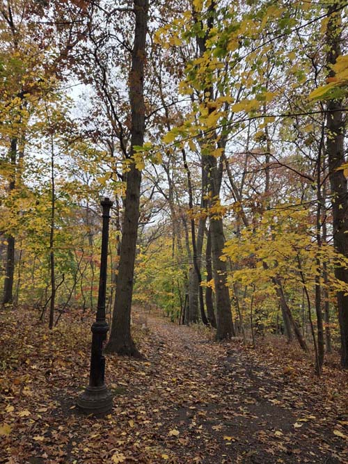 Orange Trail, Forest Park, Queens, November 11, 2025