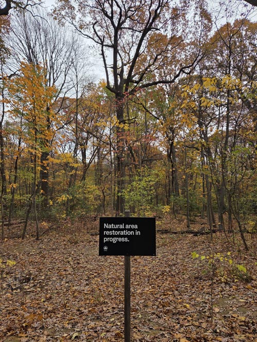 Orange Trail, Forest Park, Queens, November 11, 2025