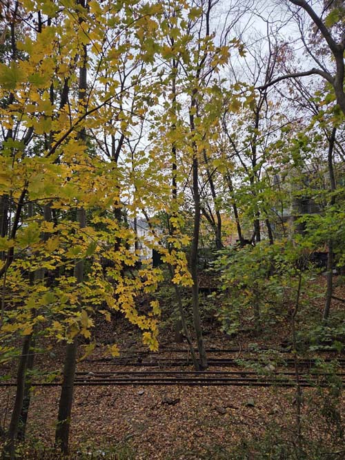 Rockaway Beach Branch Tracks, Orange Trail, Forest Park, Queens, November 11, 2025