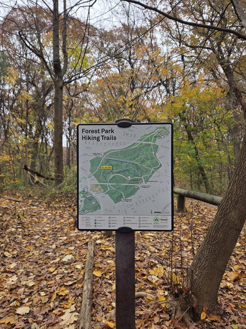 Orange Trail, Forest Park, Queens, November 11, 2025