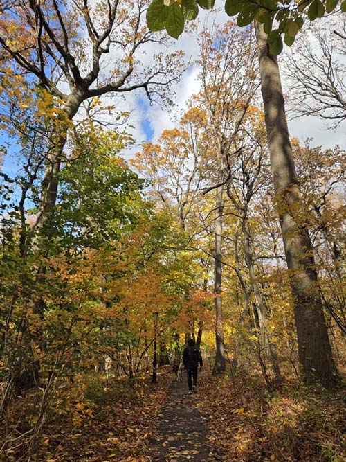 Orange Trail, Forest Park, Queens, November 11, 2025