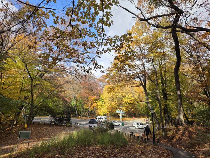 Metropolitan Avenue and Forest Park Drive From Orange Trail, Forest Park, Queens, November 11, 2025