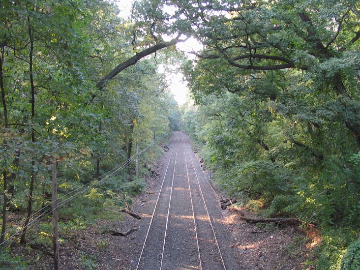 Long Island Railroad Tracks from Forest Park Drive, Forest Park, Queens