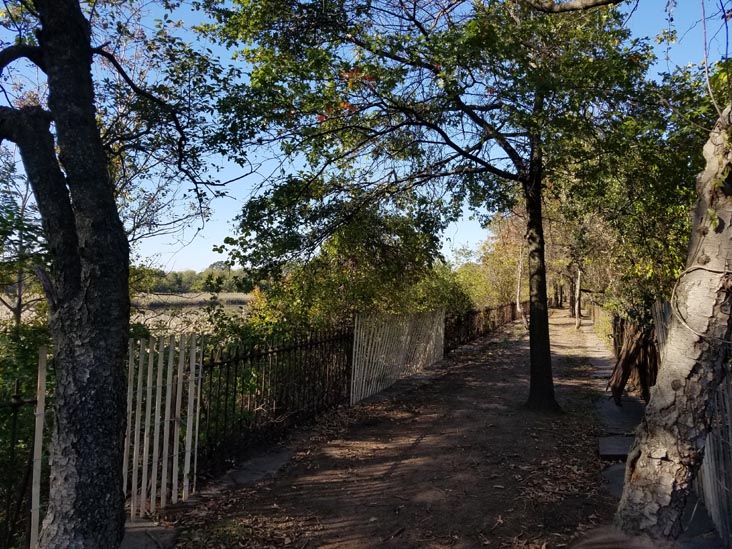 Ridgewood Reservoir, Highland Park, Queens, October 19, 2019