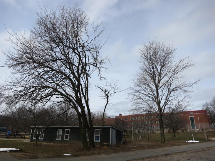 Queens County Farm Museum, Glen Oaks, Queens, March 11, 2013
