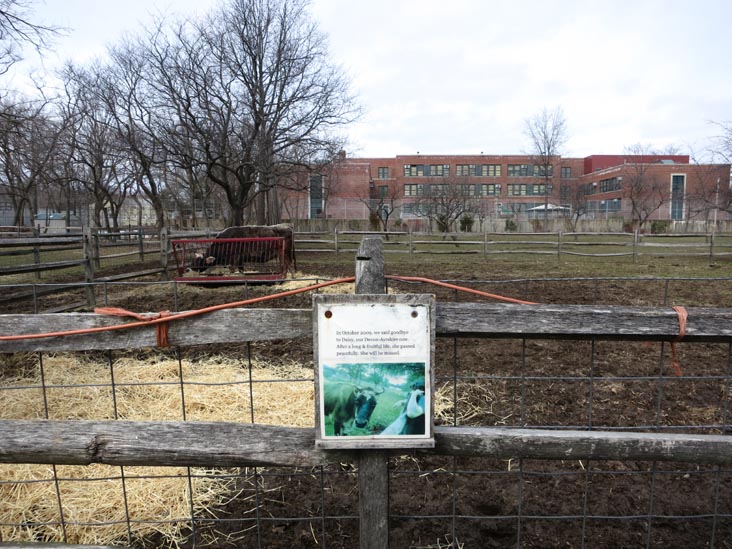 Queens County Farm Museum, Glen Oaks, Queens, March 11, 2013