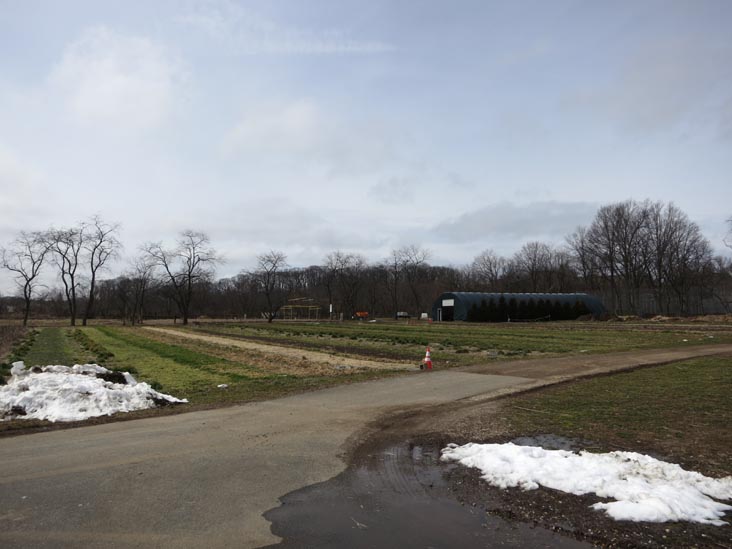 Queens County Farm Museum, Glen Oaks, Queens, March 11, 2013