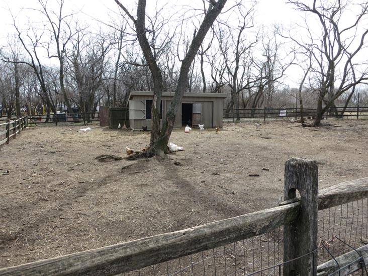 Queens County Farm Museum, Glen Oaks, Queens, March 11, 2013