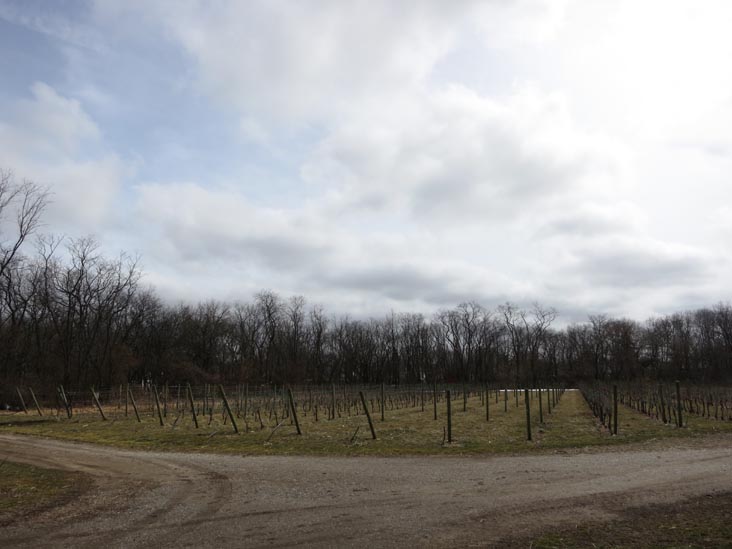 Queens County Farm Museum, Glen Oaks, Queens, March 11, 2013
