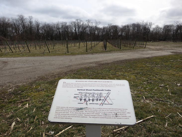 Queens County Farm Museum, Glen Oaks, Queens, March 11, 2013