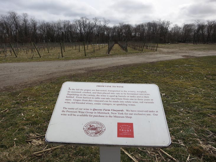Queens County Farm Museum, Glen Oaks, Queens, March 11, 2013