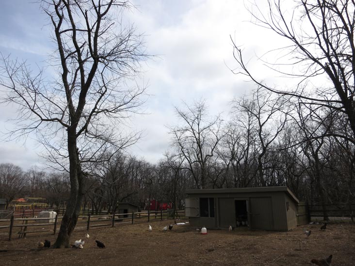 Queens County Farm Museum, Glen Oaks, Queens, March 11, 2013