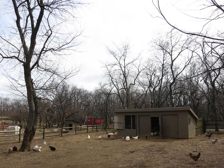 Queens County Farm Museum, Glen Oaks, Queens, March 11, 2013