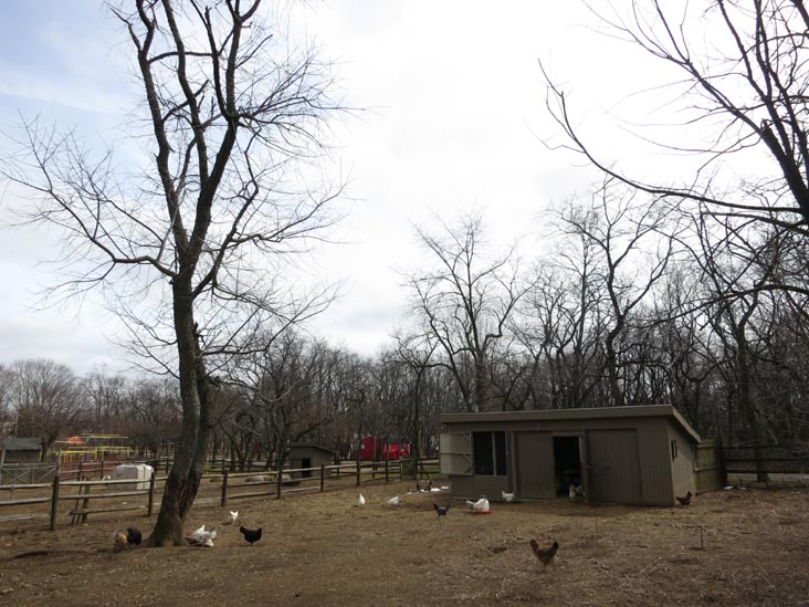 Queens County Farm Museum, Glen Oaks, Queens, March 11, 2013