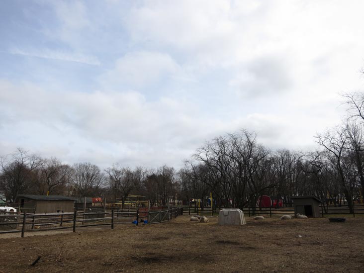 Queens County Farm Museum, Glen Oaks, Queens, March 11, 2013