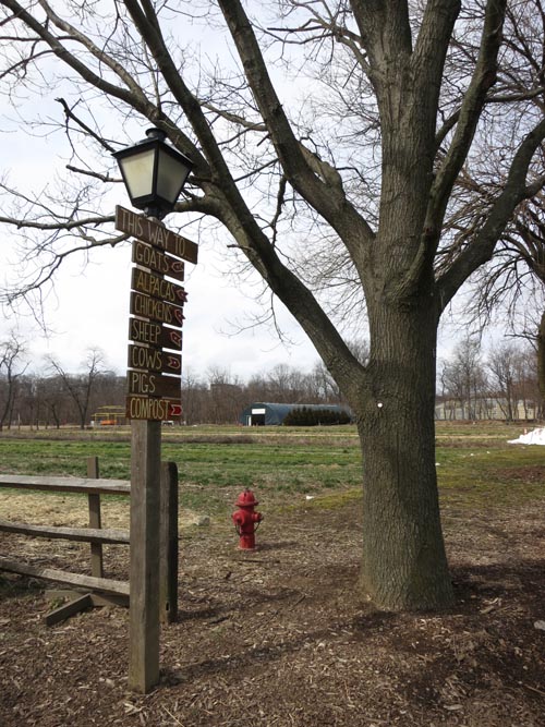 Queens County Farm Museum, Glen Oaks, Queens, March 11, 2013