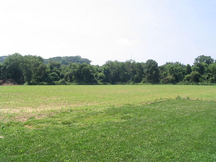 Planting Fields, Queens County Farm Museum, Glen Oaks, Queens, June 22, 2006