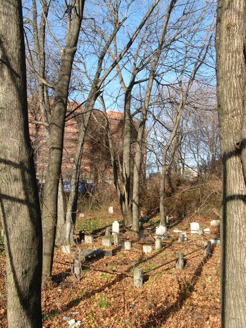 Prospect Cemetery From 158th Street, York College, Jamaica, Queens