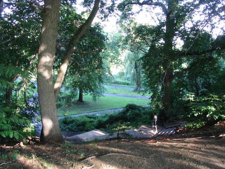 Grove Looking down towards the Lake Area, Kissena Park, Queens