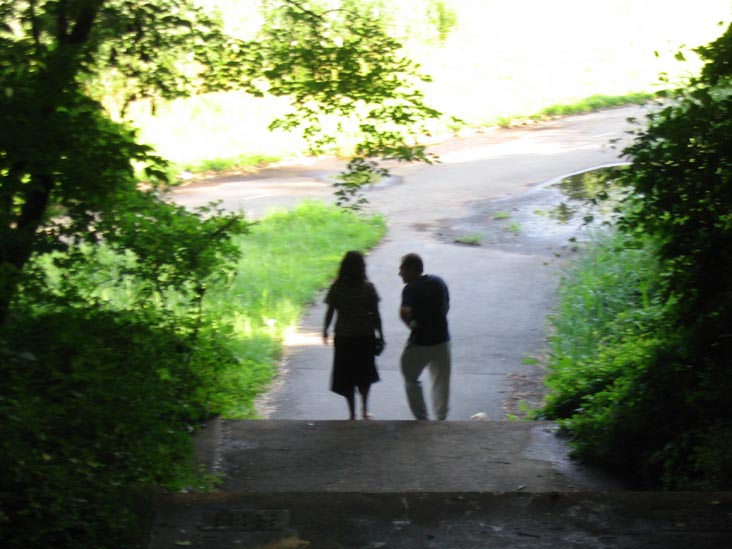 Steps Leading Down from the Grove, Kissena Park, Queens
