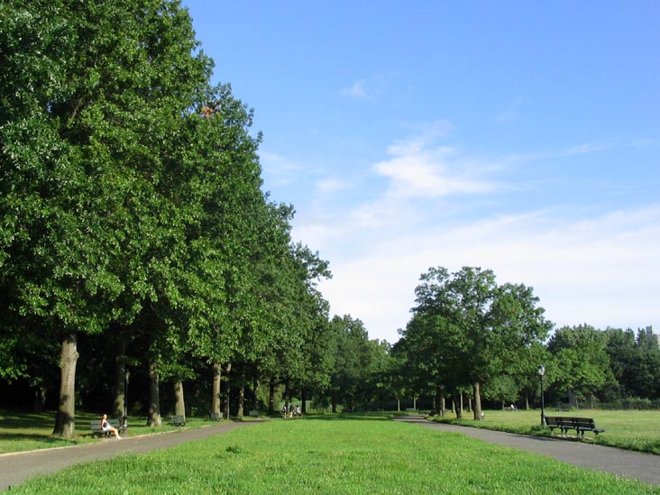 Historic Grove from Western Park of Kissena Park, Queens