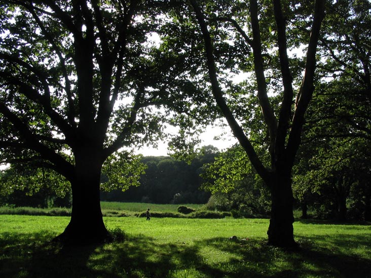 Kissena Park, Queens, August 1, 2004