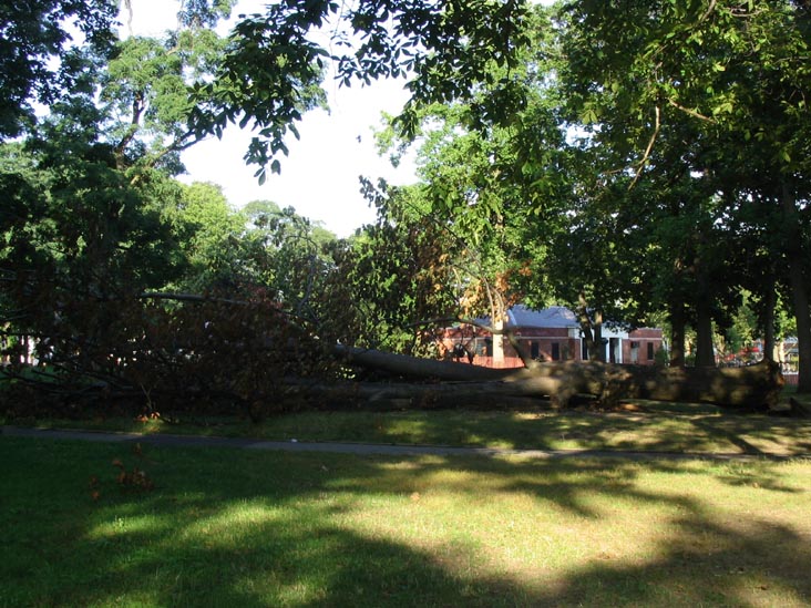 Kissena Park, Queens, August 1, 2004