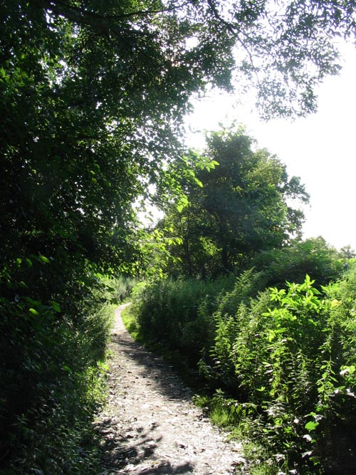 Kissena Park, Queens, August 1, 2004