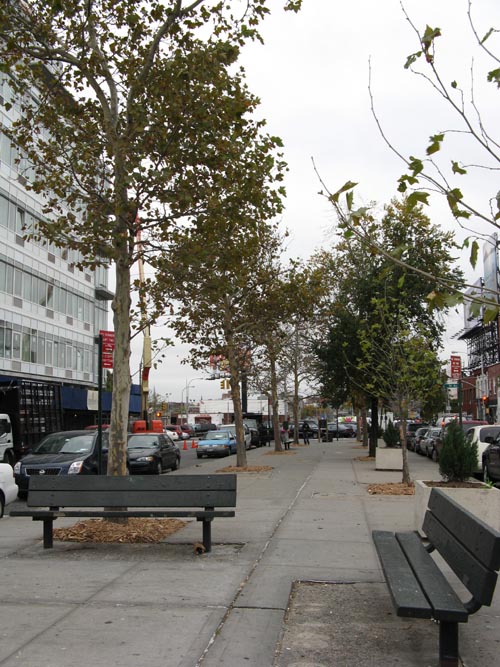 Vernon Mall, Hunters Point, Long Island City, Queens, October 23, 2009