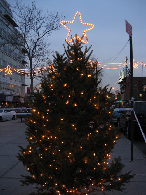 Vernon Mall, Hunters Point, Long Island City, Queens, December 8, 2009