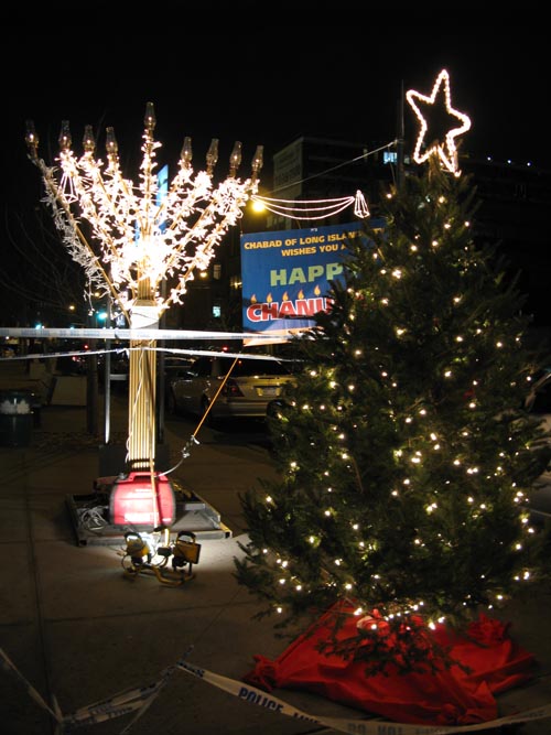 Vernon Mall, Hunters Point, Long Island City, Queens, December 18, 2009