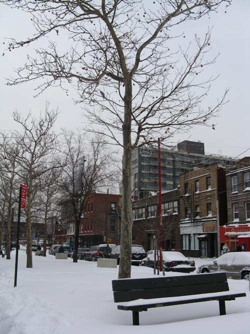 Vernon Mall, Hunters Point, Long Island City, Queens, December 20, 2009