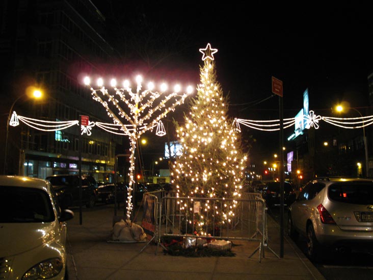 Vernon Mall, Hunters Point, Long Island City, Queens, December 8, 2010