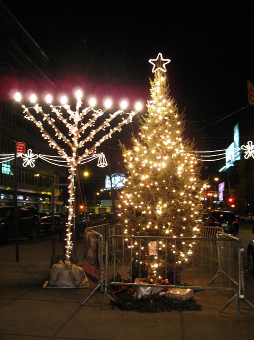 Vernon Mall, Hunters Point, Long Island City, Queens, December 8, 2010