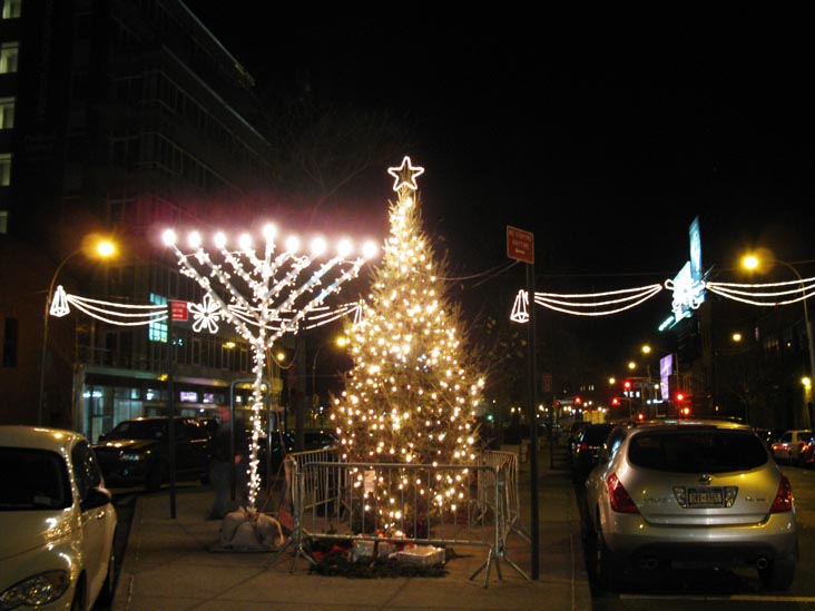 Vernon Mall, Hunters Point, Long Island City, Queens, December 8, 2010