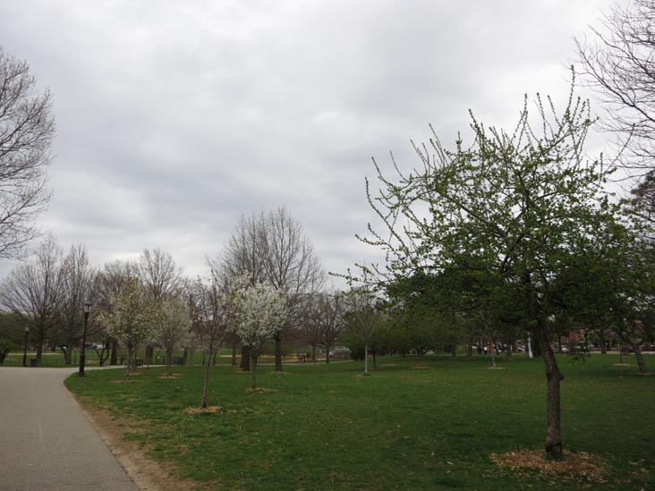 Juniper Valley Park, Middle Village, Queens