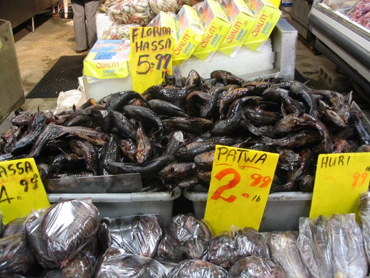 Hassa, Patwa and Huri Fish, A & N West Indian Grocery, 106-17 Liberty Avenue, Richmond Hill, Queens