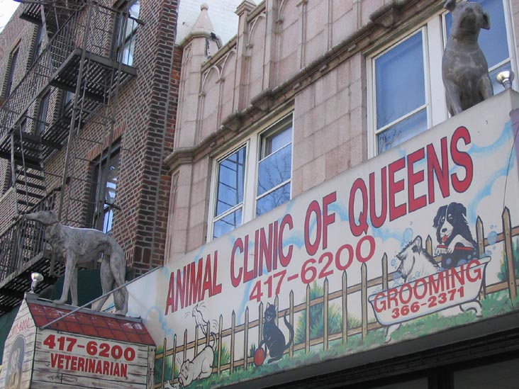Animal Clinic of Queens, 65-12 Fresh Pond Road, Ridgewood, Queens