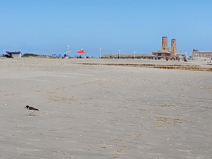 Jacob Riis Park, The Rockaways, Queens, May 22, 2020