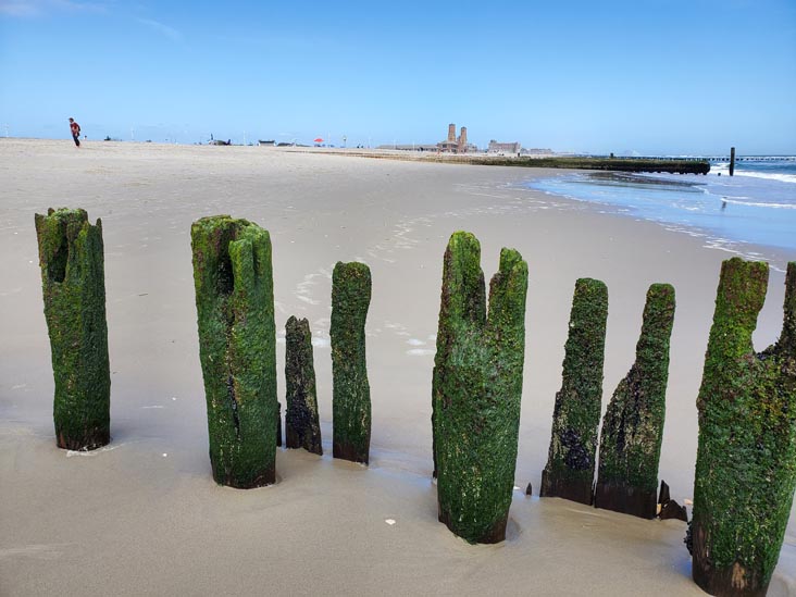 Jacob Riis Park, The Rockaways, Queens, May 22, 2020