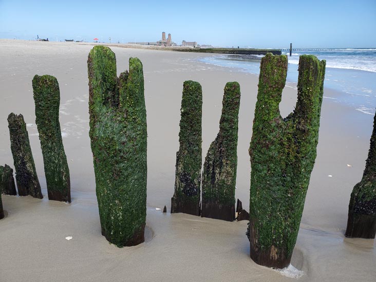 Jacob Riis Park, The Rockaways, Queens, May 22, 2020