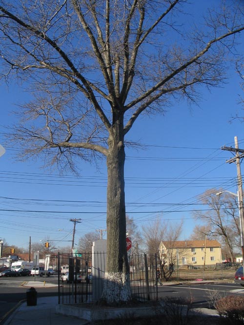 Montauk Triangle, St. Albans, Queens