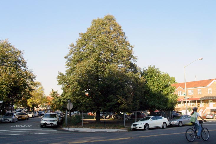 Triangle Park, 59th Street and 34th Avenue, Just North of Quick Brown Fox Triangle, Woodside, Queens