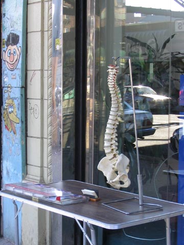 Chiropractor, Roosevelt Avenue, Woodside, Queens