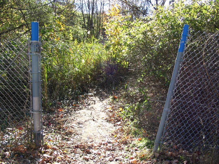Blue Trail Continuation, off of Little Clove Road near the Staten Island Expressway